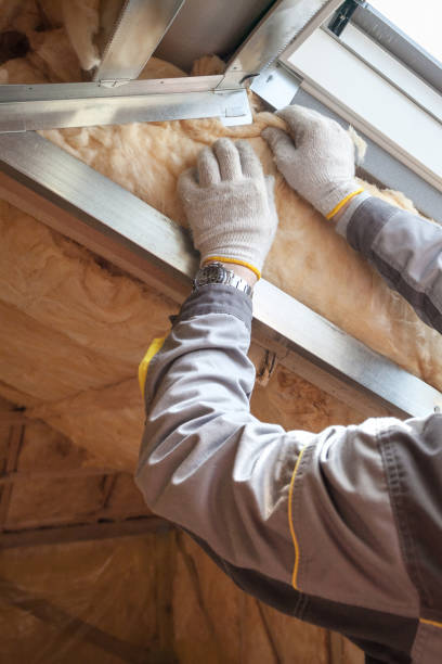 Best Wall Insulation Installation  in Lexington, TX